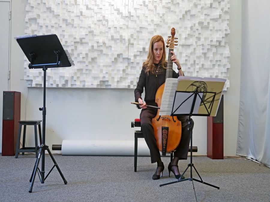 Tratamentul acustic al unui loc de concert, Elveția