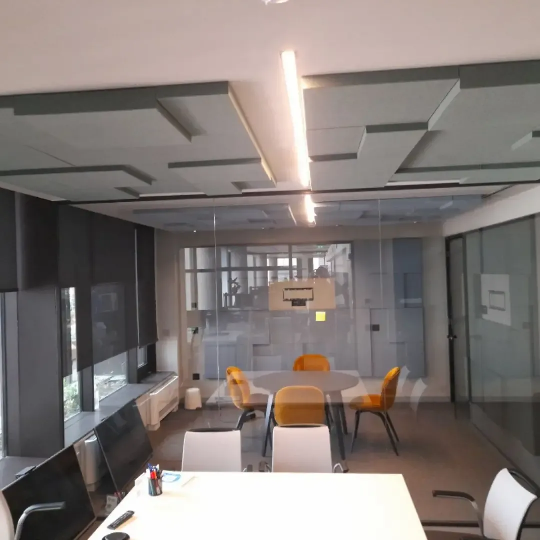 Tratament acustic al sălilor de conferințe pentru birouri IT