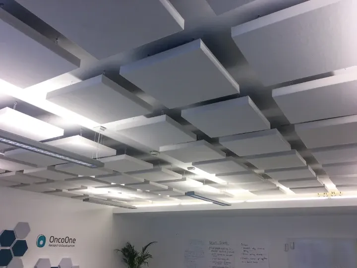 Reducerea ecoului în sala de ședințe și în spațiul de birouri de la OncoOne