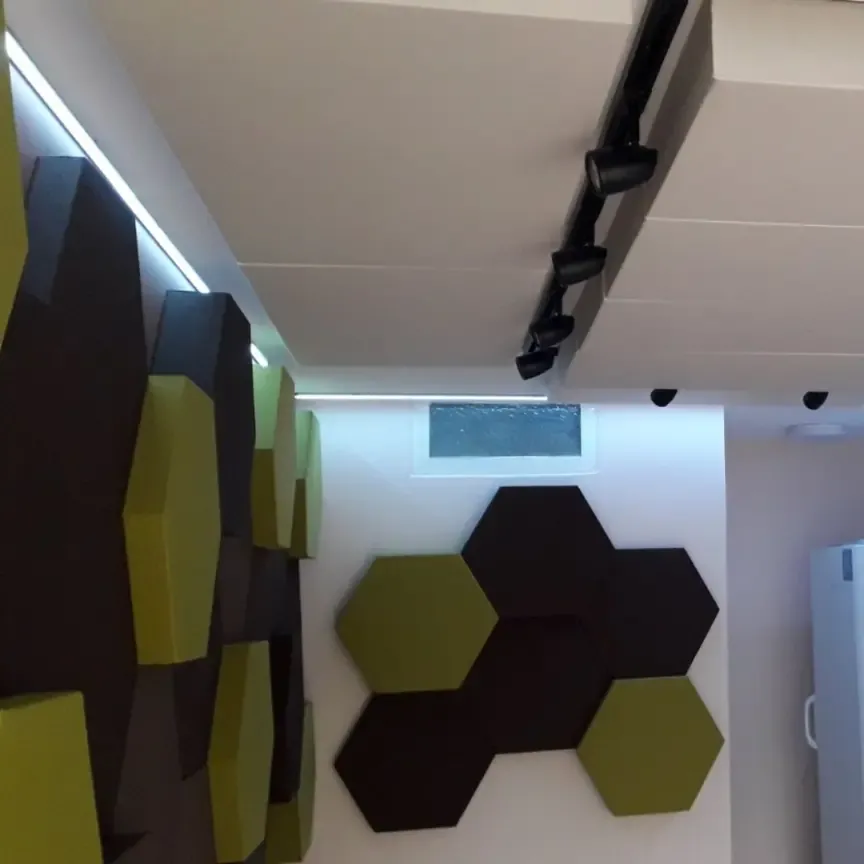 Tratament acustic al unui apartament pentru muzicieni clasici