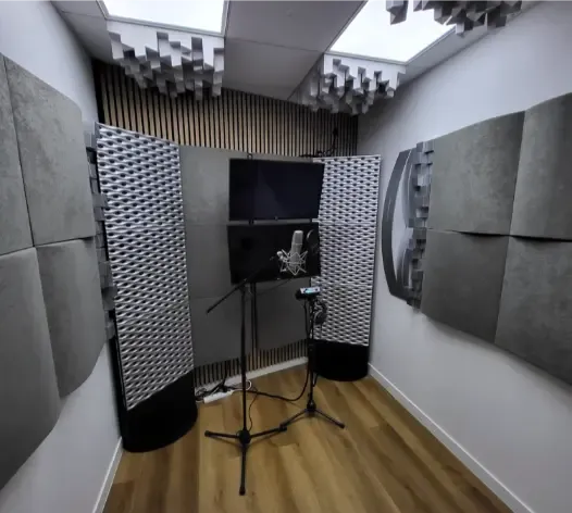 Reproiectarea acustică a unui studio TV în Franța