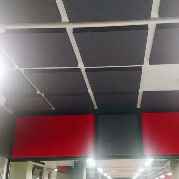 Instalare panouri acustice într-un studio radio celebru