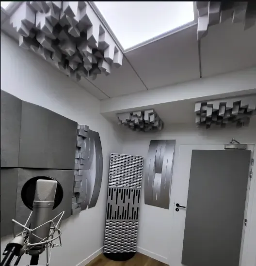Reproiectarea acustică a unui studio TV în Franța