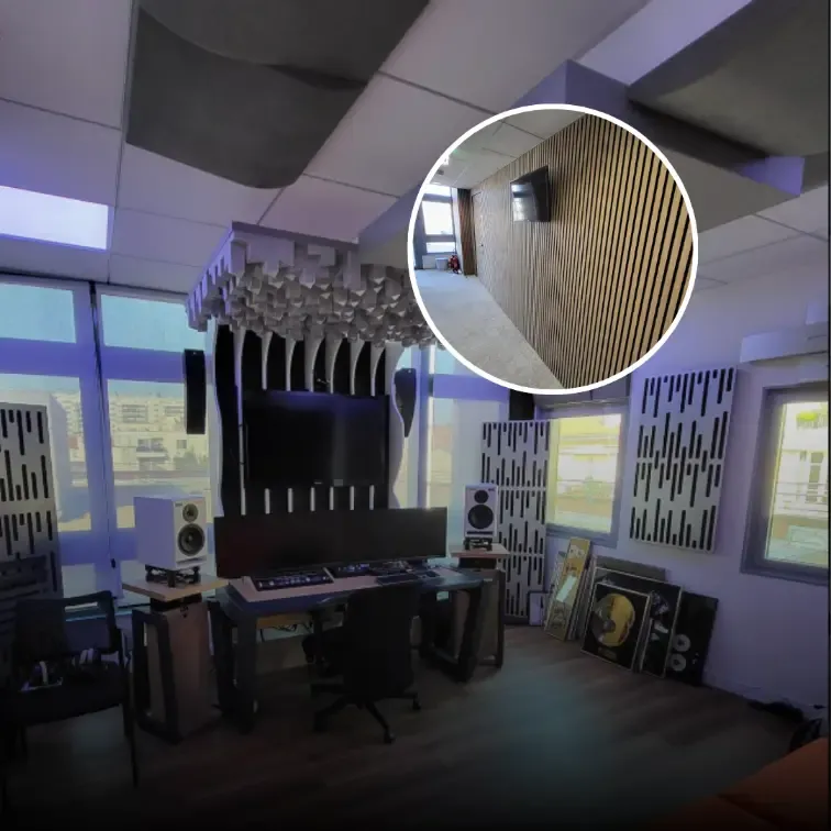 Reproiectarea acustică a unui studio TV în Franța