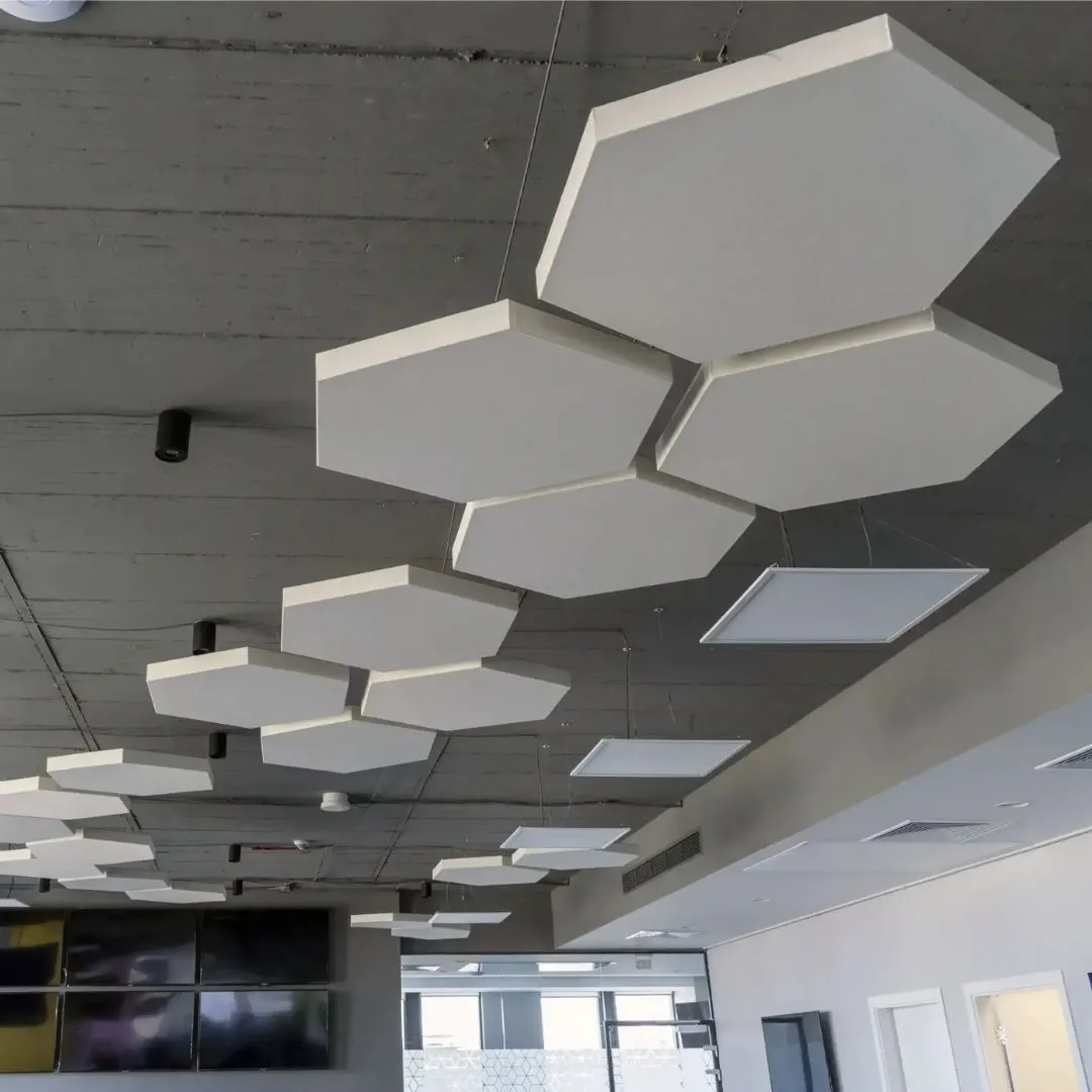 Panouri acustice instalate într-un birou vibrant