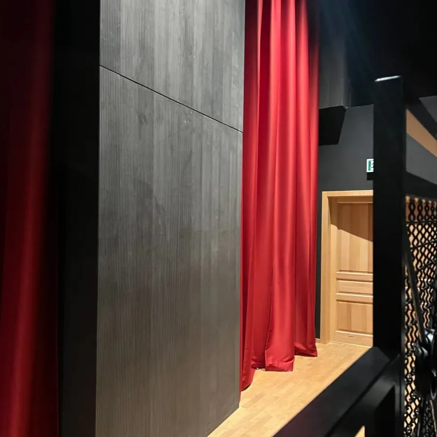 Renovarea acustică a Teatrului Arena din Bratislava
