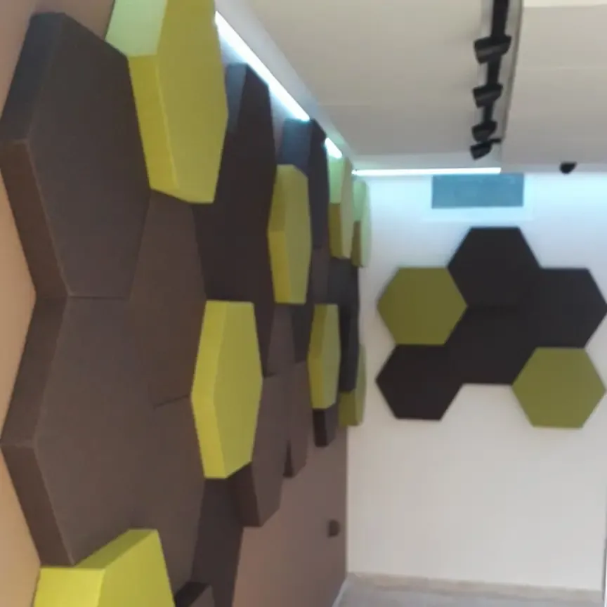 Tratament acustic al unui apartament pentru muzicieni clasici